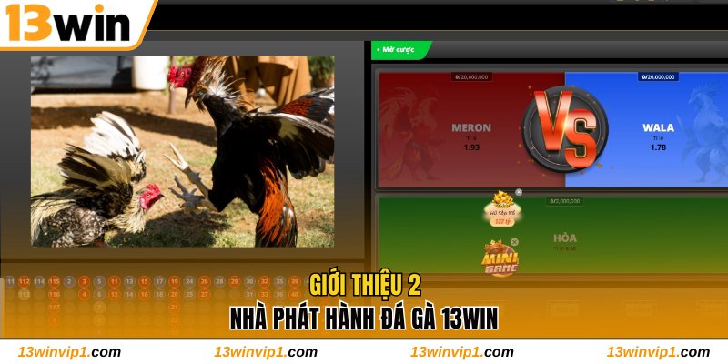 Giới thiệu 2 nhà phát hành đá gà 13WIN