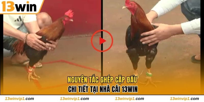 Nguyên tắc ghép cặp đấu