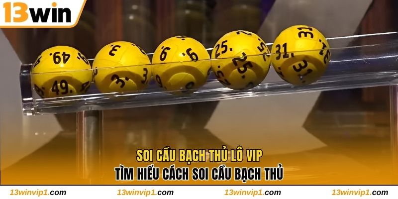 Soi Cầu Bạch Thủ Lô Vip